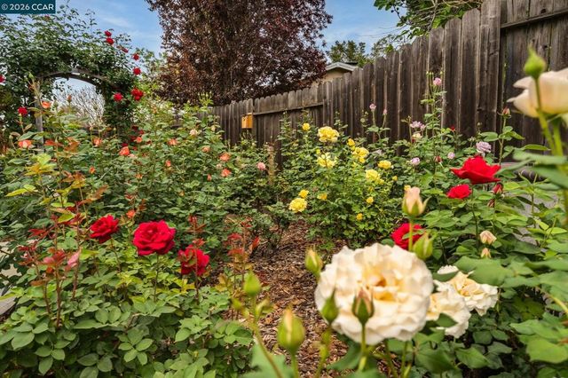 206 Dayton Court, San Ramon, CA 94583