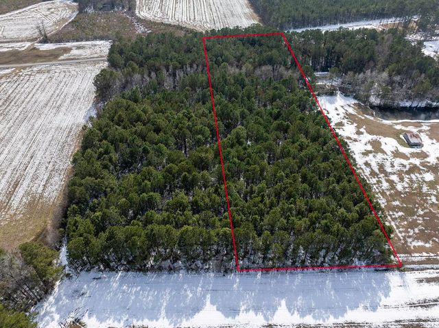 TBD Carroll Todd Rd., Conway, SC 29526