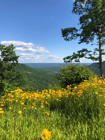 0 Sunset Circle Lot Sv-70, Jasper, TN 37347