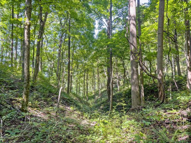 9999 Sunrise Valley Tract 3 Road, Irvine, KY 40336