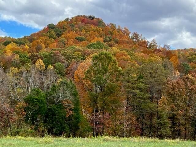 9999 Sunrise Valley Tract 3 Road, Irvine, KY 40336