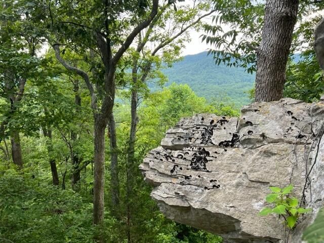 9999 Sunrise Valley Tract 3 Road, Irvine, KY 40336