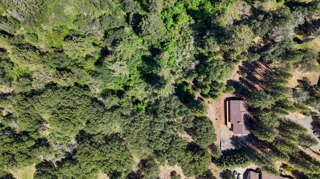 4685 Pinta Ct, Camino, CA 95709