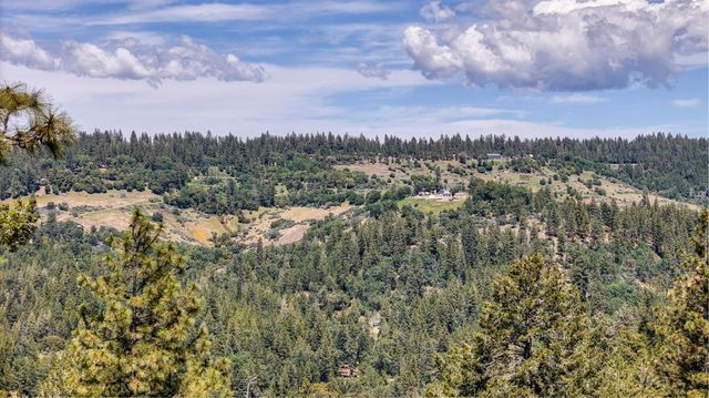 4685 Pinta Ct, Camino, CA 95709