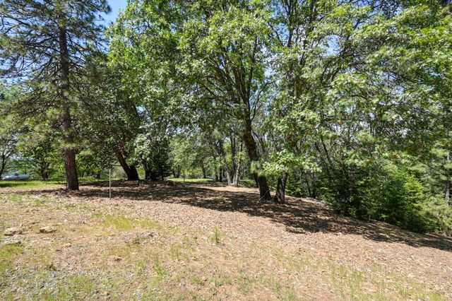4685 Pinta Ct, Camino, CA 95709