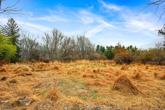 11 Springtown Rd, Readington Twp., NJ 08889