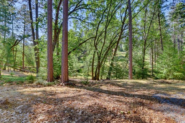 22005 Farrier Ct, Foresthill, CA 95631
