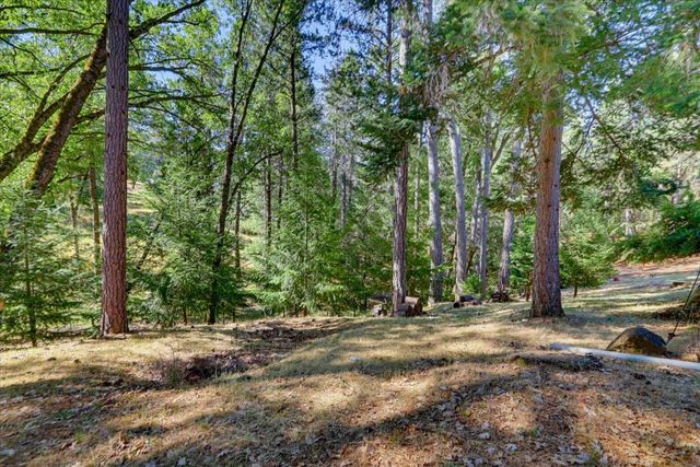 22005 Farrier Ct, Foresthill, CA 95631