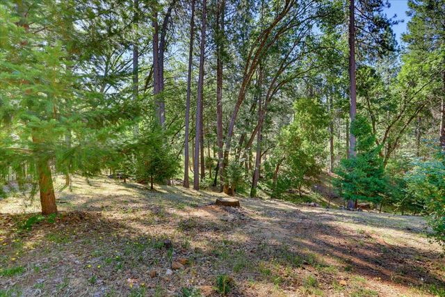22005 Farrier Ct, Foresthill, CA 95631