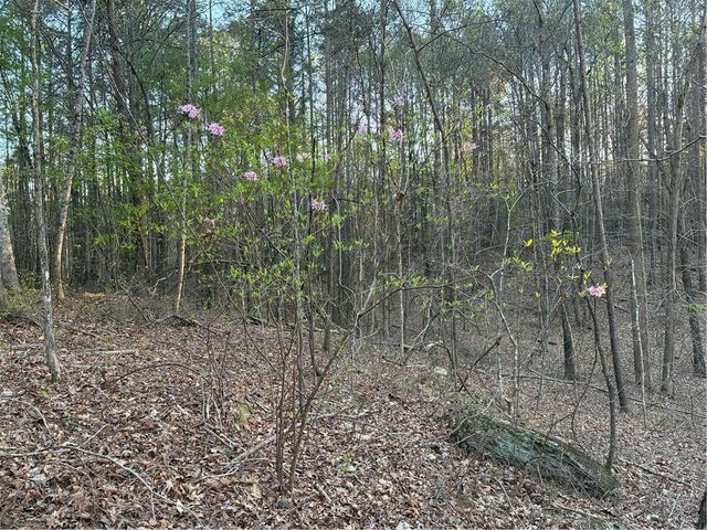 2600 McPherson Church Road, Dallas, GA 30132