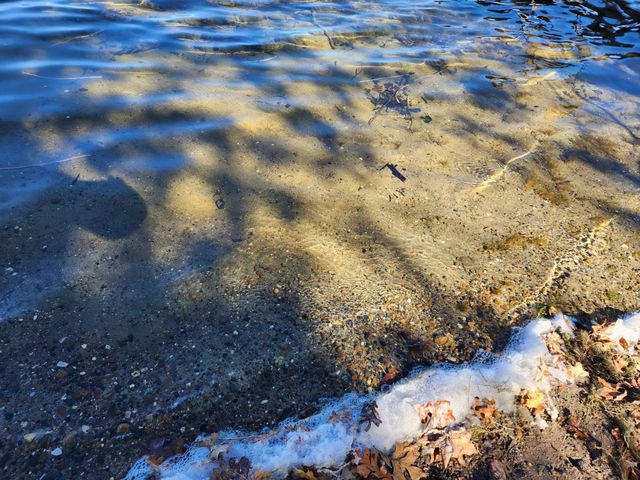 42219 Sugar Maple Drive, Ottertail, MN 56571