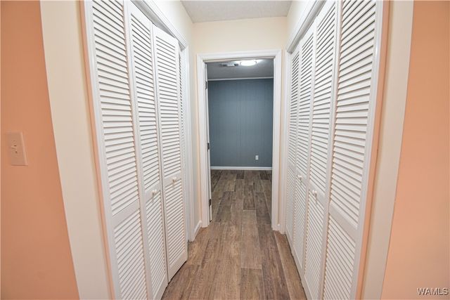 11441 Pat Mcgee Dr, Cottondale, AL 35453