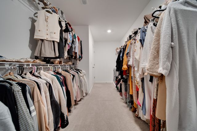 7301 Audubon Cv, Fairview, TN 37062