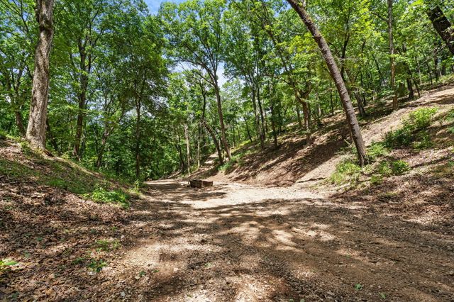 150 Jim Linegar Lane, Branson West, MO 65737