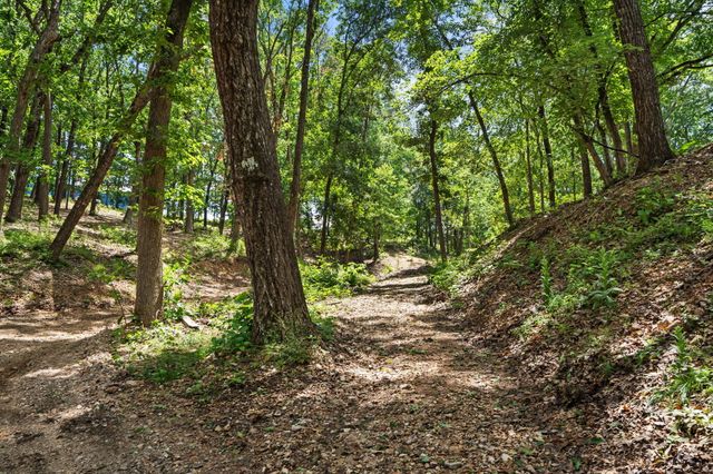 150 Jim Linegar Lane, Branson West, MO 65737