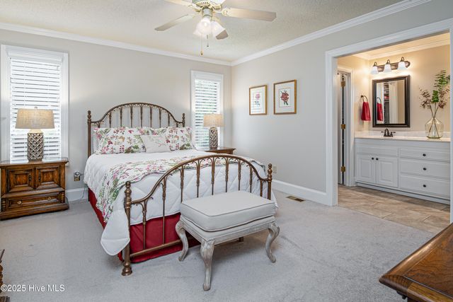 501 Eleanor Street, Greenville, NC 27858