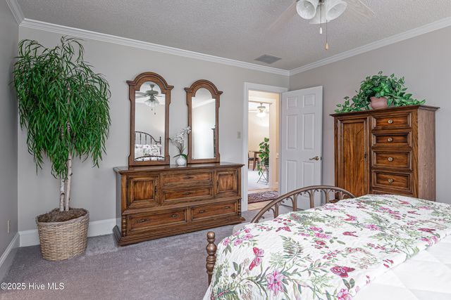 501 Eleanor Street, Greenville, NC 27858