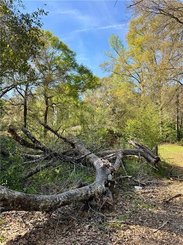 9610 Chunchula-Georgetown Road, Chunchula, AL 36521