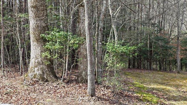Lot 25 Pine Log Circle, Warne, NC 28909