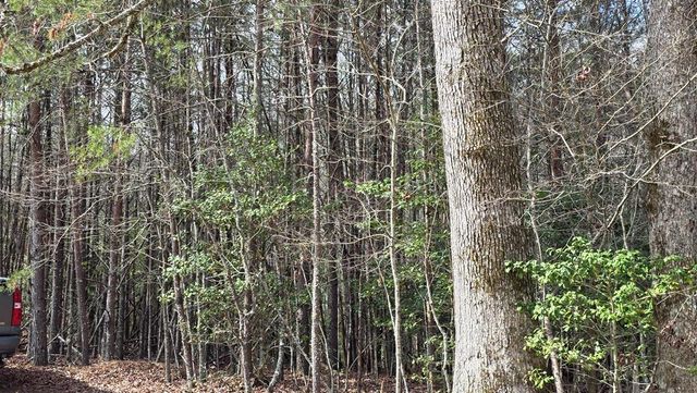 Lot 25 Pine Log Circle, Warne, NC 28909