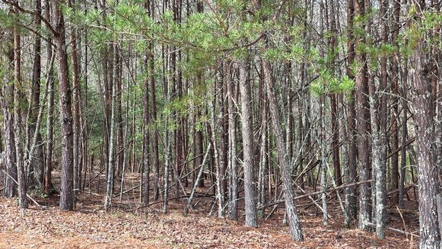 Lot 25 Pine Log Circle, Warne, NC 28909