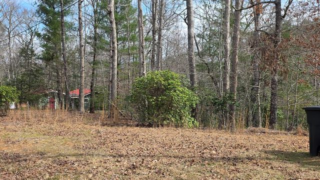 Lot 25 Pine Log Circle, Warne, NC 28909
