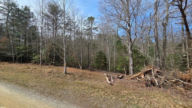 Lot 25 Pine Log Circle, Warne, NC 28909