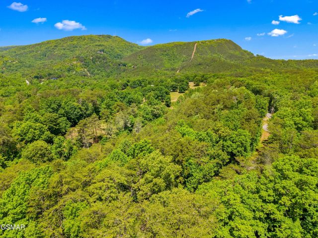1737 Blue Ridge Road, Sevierville, TN 37876