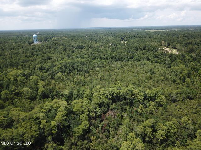113 Acres Moragas Lane, Kiln, MS 39556