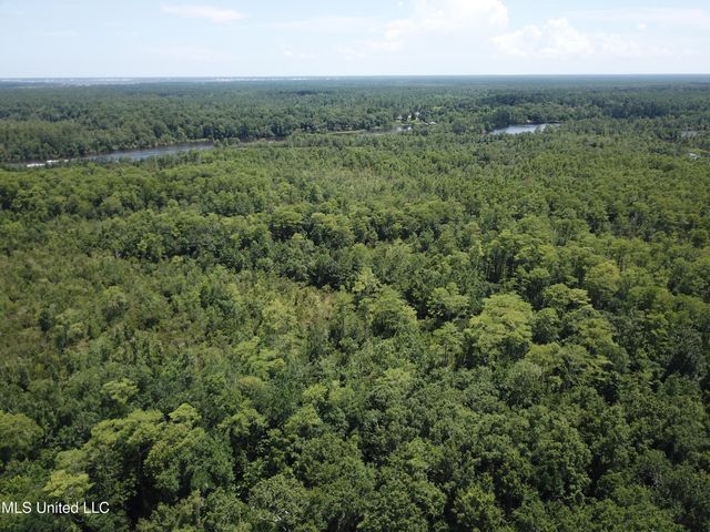 113 Acres Moragas Lane, Kiln, MS 39556