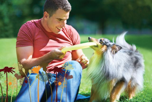 615 Hedrick Ridge Road Road 105, Cary, NC 27519