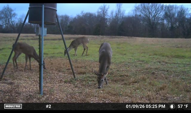 000 FM 2909, Canton, TX 75103