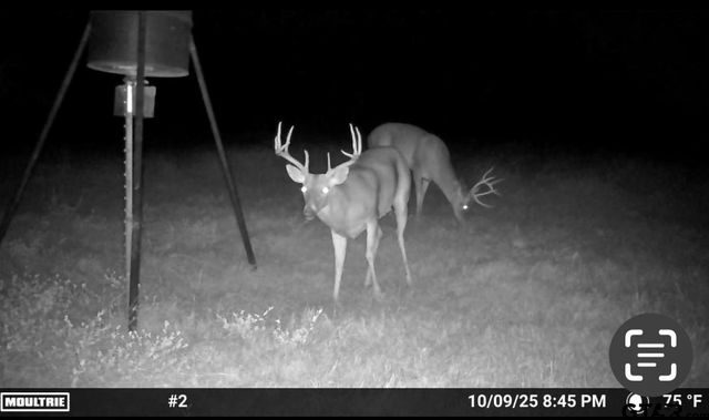 000 FM 2909, Canton, TX 75103