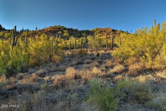 39332 N OLD STAGE Road, Cave Creek, AZ 85331