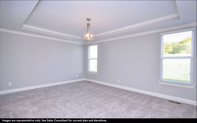 23 Buckhorn Ct, Fairview, TN 37062