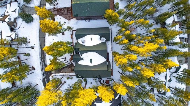 42364 Heavenly Valley, Big Bear Lake, CA 92315