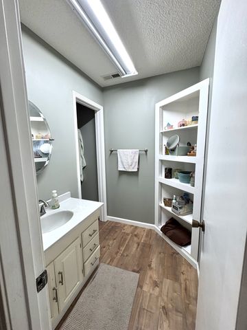 104 Rickman Dr, Springville, TN 38256