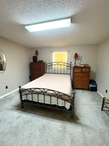 104 Rickman Dr, Springville, TN 38256