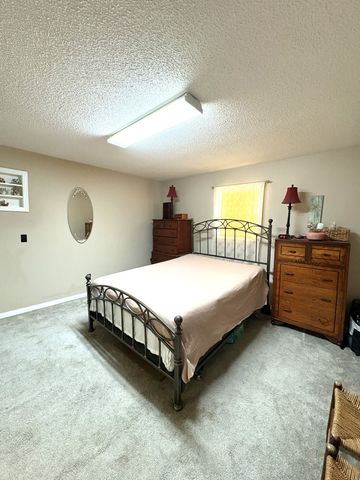 104 Rickman Dr, Springville, TN 38256