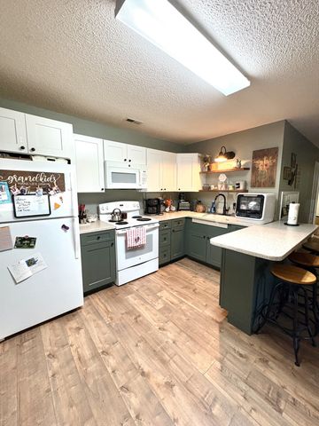 104 Rickman Dr, Springville, TN 38256