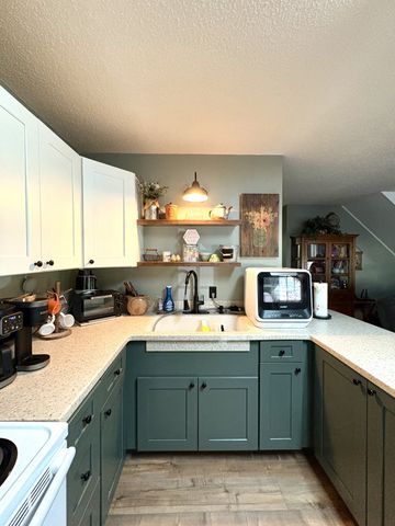 104 Rickman Dr, Springville, TN 38256