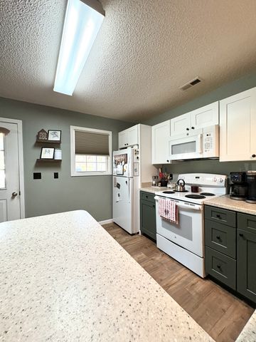 104 Rickman Dr, Springville, TN 38256