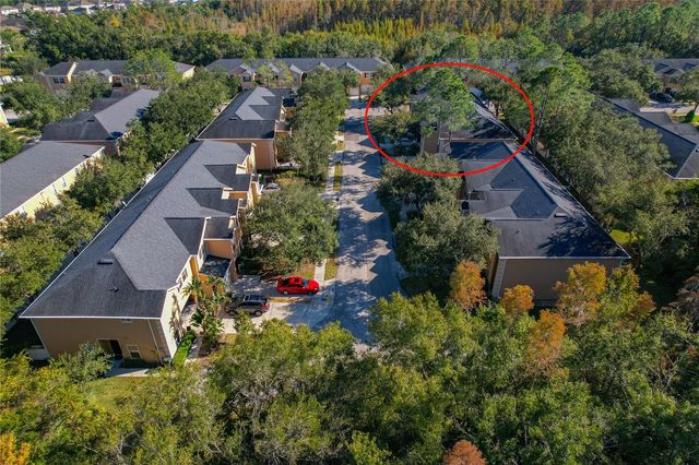 16302 NEWBURY PALMS COURT, Tampa, FL 33647