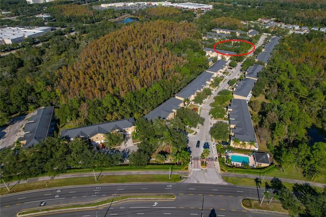 16302 NEWBURY PALMS COURT, Tampa, FL 33647