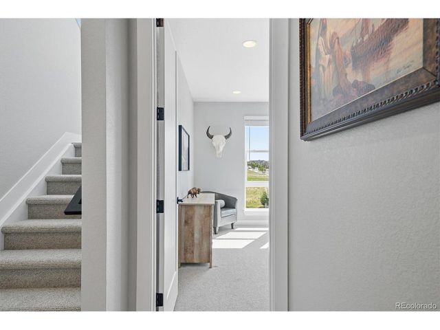 3617 Mykonos Dr, Castle Rock, CO 80109