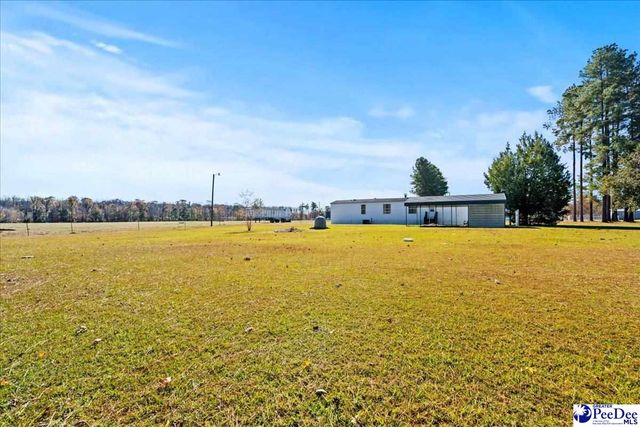 404 Jessamine Rd., Marion, SC 29571