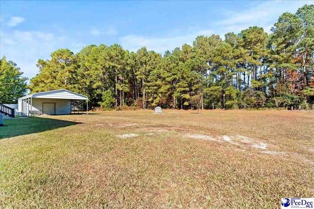 404 Jessamine Rd., Marion, SC 29571