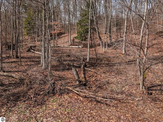 00000 Bluff Road, Traverse City, MI 49686