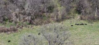 3141 Rogers Road, Jacksboro, TX 76458