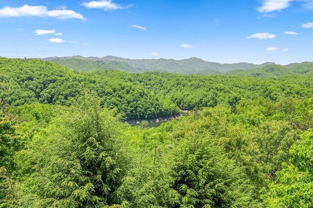 167 Wild Orchid Trail, Bryson City, NC 28713